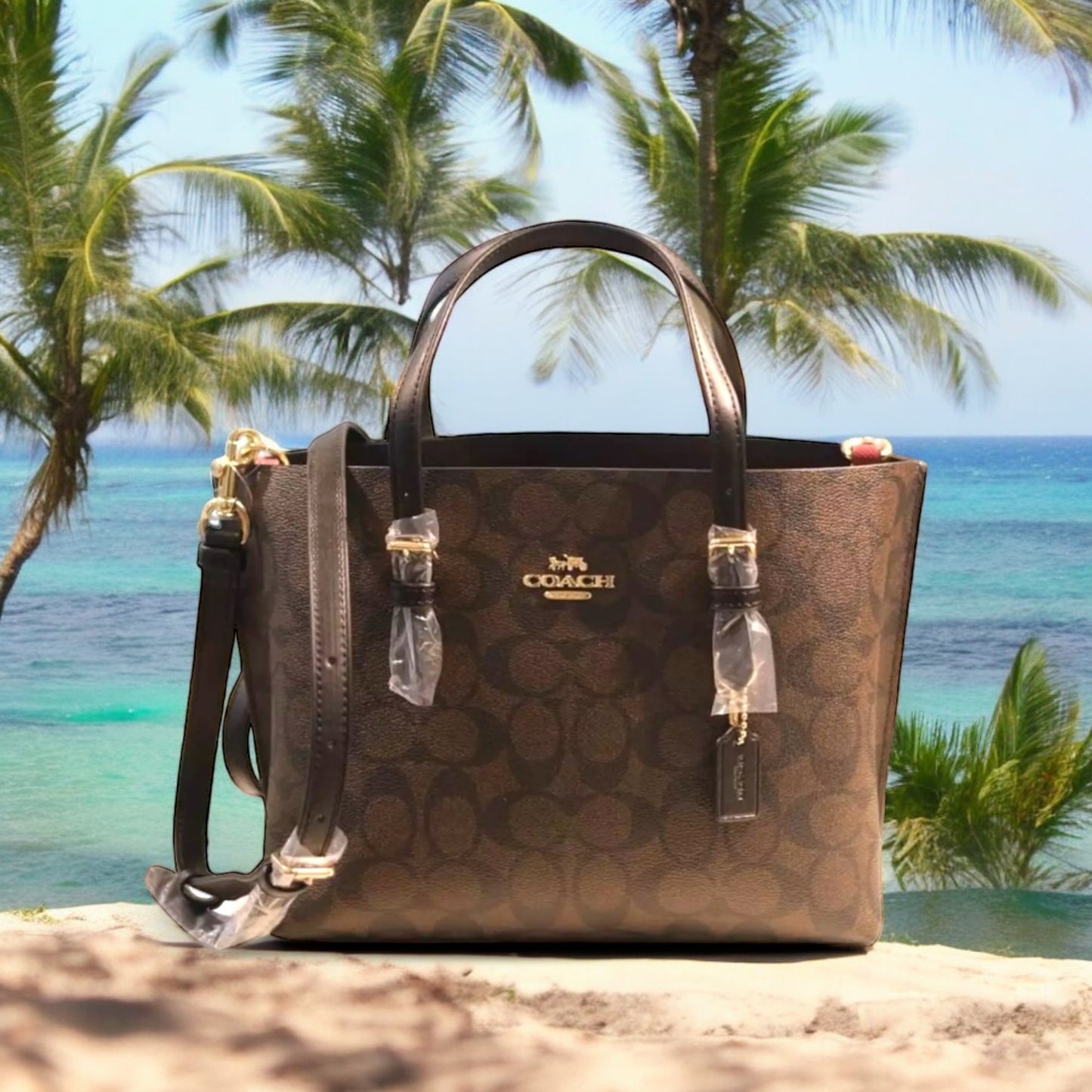 Bolso tote Coach Mollie 25 en lona exclusiva
